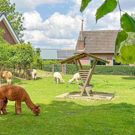 Alpacafarm Vorstenbosch Bagian luar foto