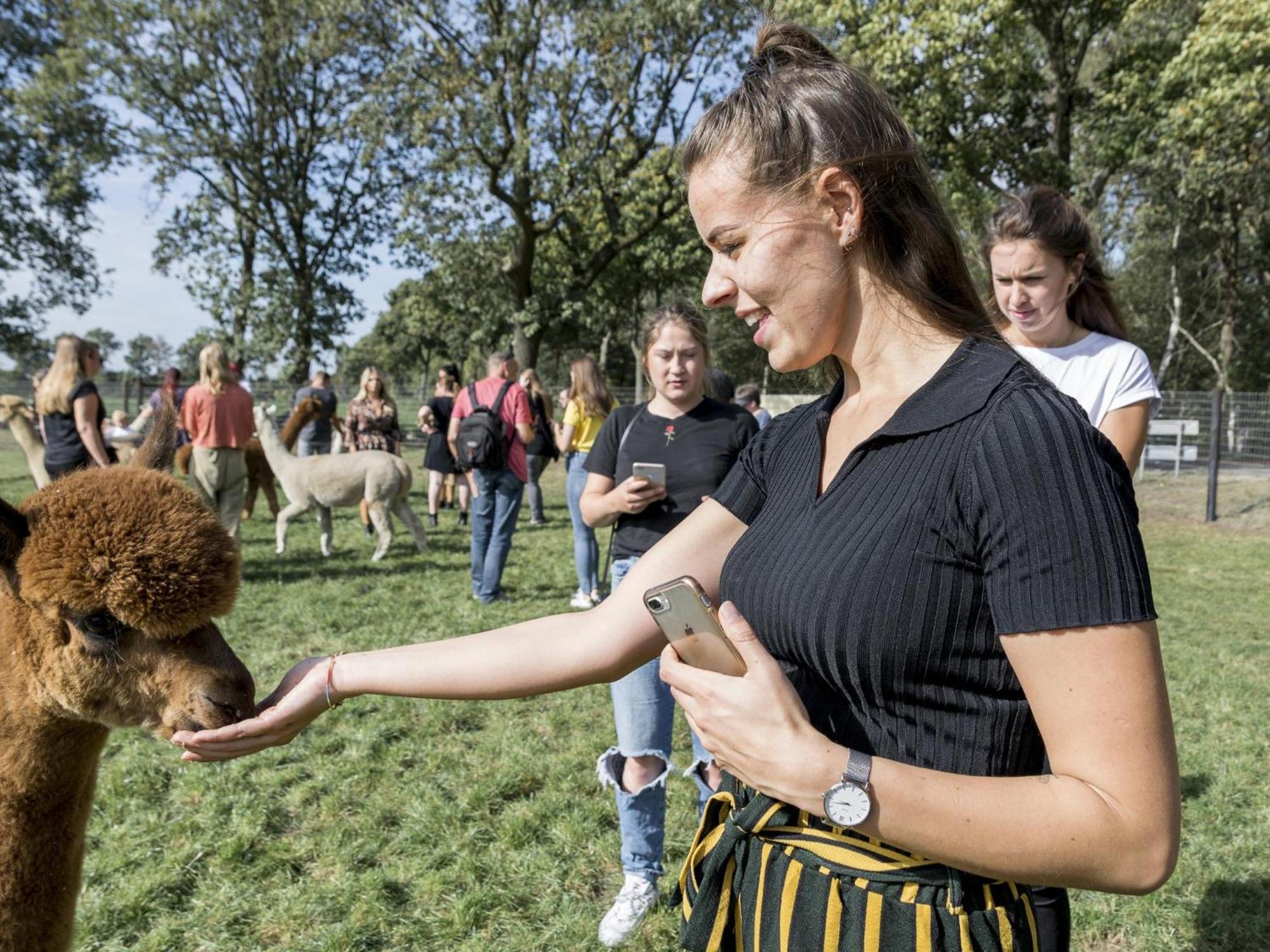 Alpacafarm Vorstenbosch Bagian luar foto