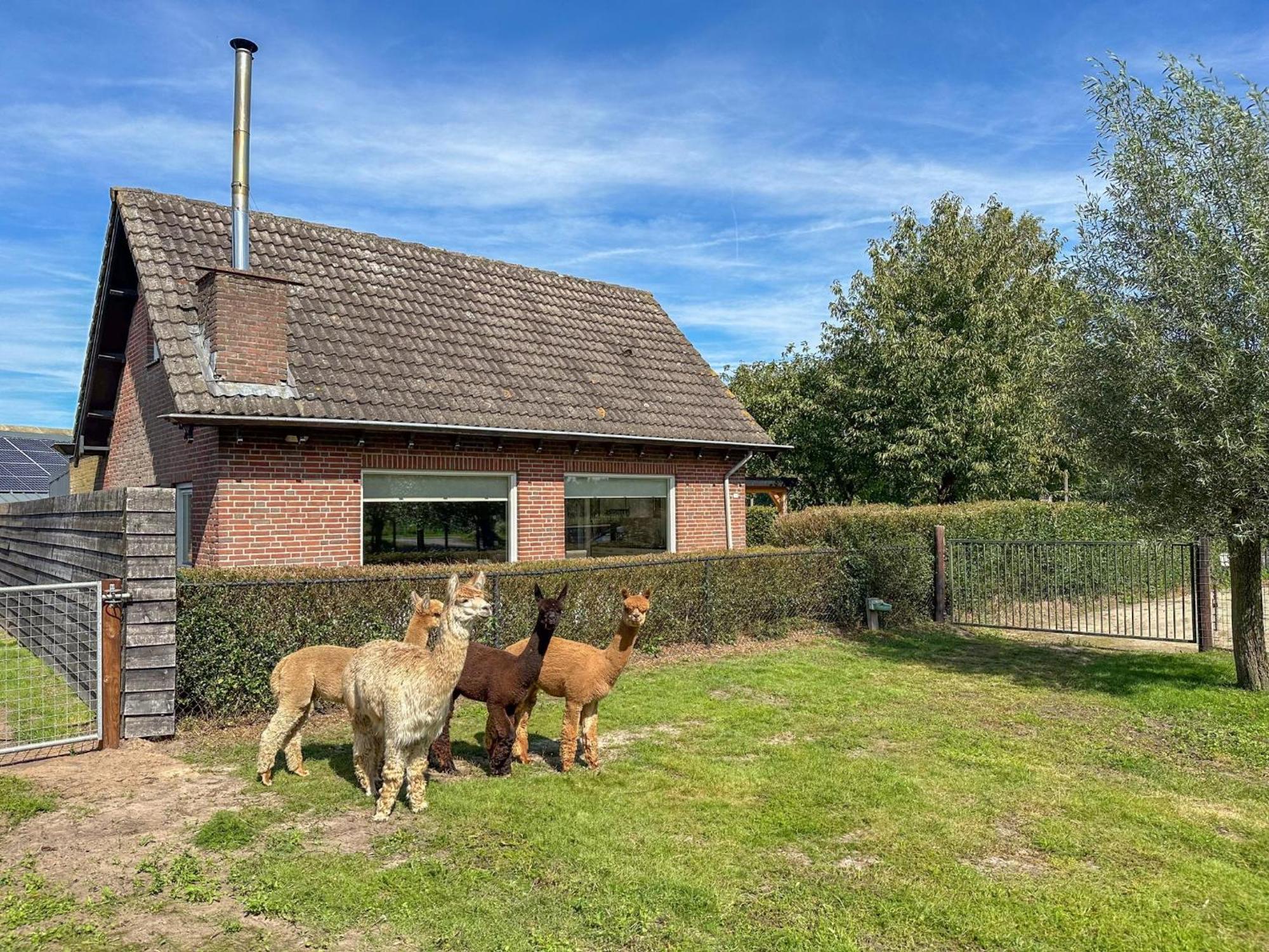 Alpacafarm Vorstenbosch Bagian luar foto