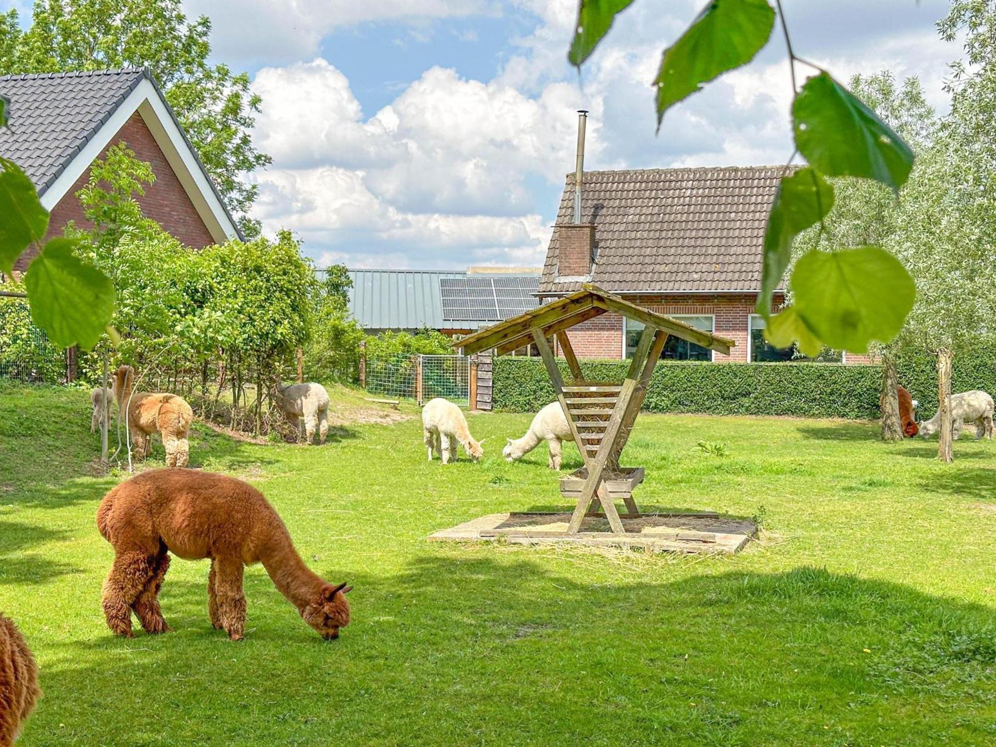Alpacafarm Vorstenbosch Bagian luar foto